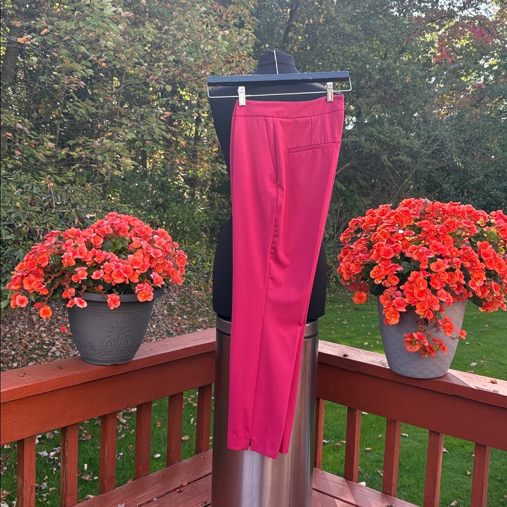 Zara Fuchsia Trousers-NWT